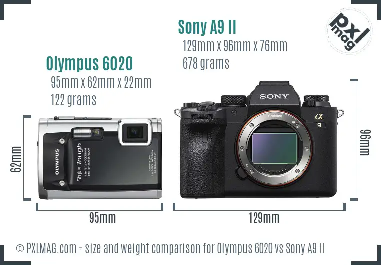 Olympus 6020 vs Sony A9 II size comparison