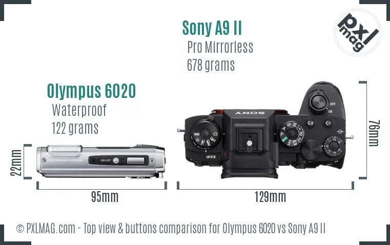 Olympus 6020 vs Sony A9 II top view buttons comparison
