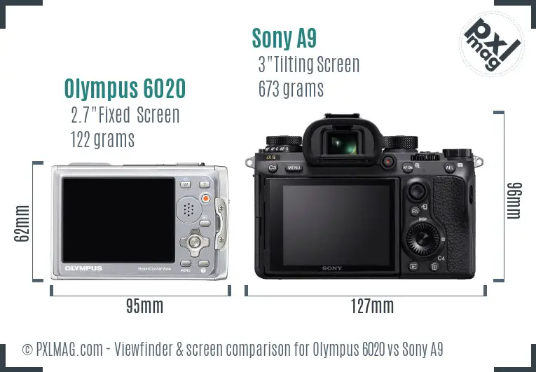 Olympus 6020 vs Sony A9 Screen and Viewfinder comparison
