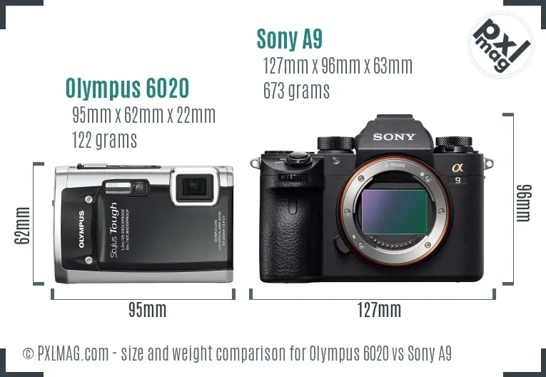 Olympus 6020 vs Sony A9 size comparison