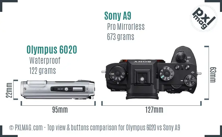 Olympus 6020 vs Sony A9 top view buttons comparison