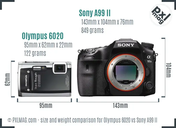 Olympus 6020 vs Sony A99 II size comparison