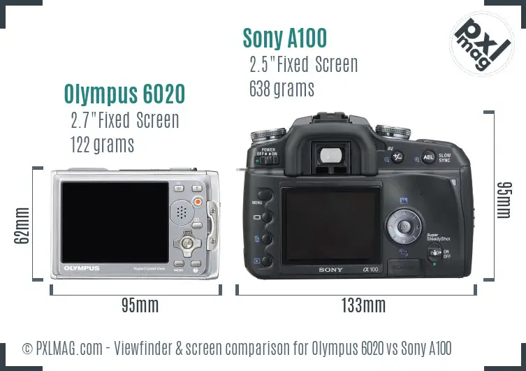 Olympus 6020 vs Sony A100 Screen and Viewfinder comparison