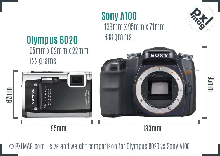 Olympus 6020 vs Sony A100 size comparison