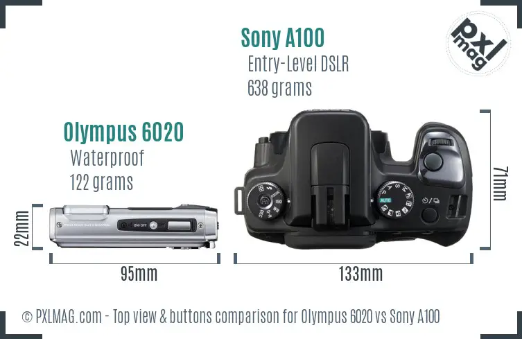 Olympus 6020 vs Sony A100 top view buttons comparison