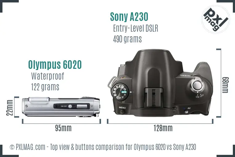 Olympus 6020 vs Sony A230 top view buttons comparison