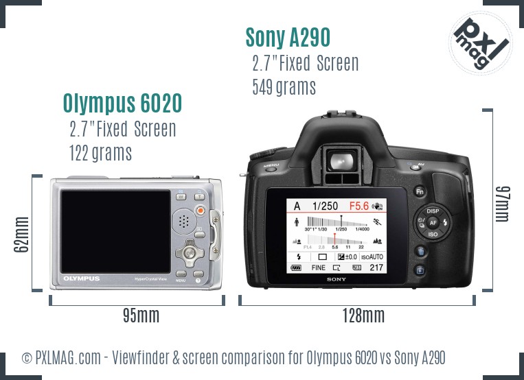 Olympus 6020 vs Sony A290 Screen and Viewfinder comparison