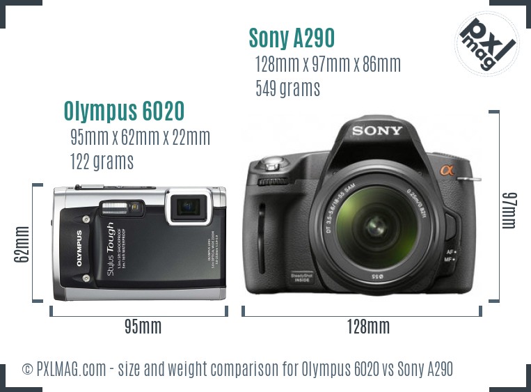 Olympus 6020 vs Sony A290 size comparison