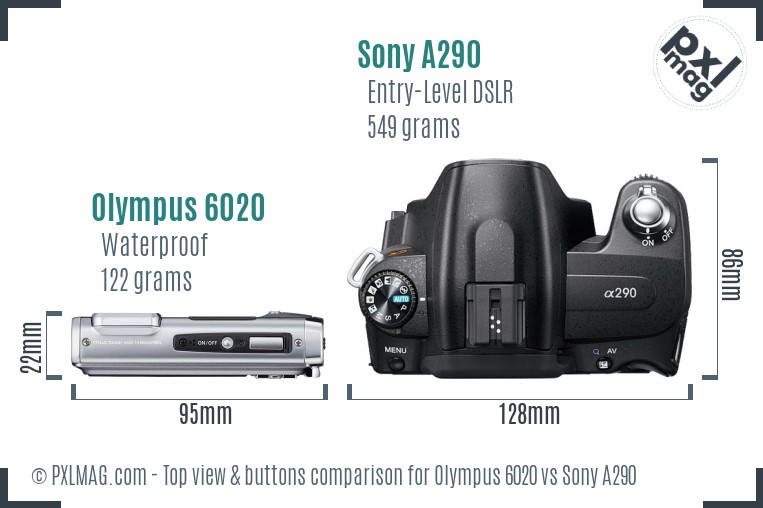 Olympus 6020 vs Sony A290 top view buttons comparison