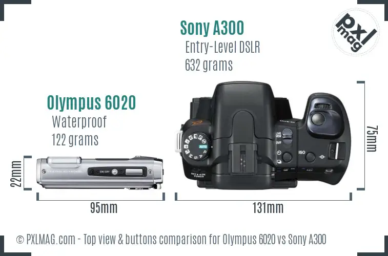 Olympus 6020 vs Sony A300 top view buttons comparison