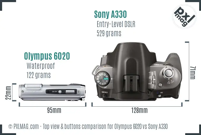 Olympus 6020 vs Sony A330 top view buttons comparison