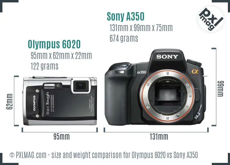 Olympus 6020 vs Sony A350 size comparison