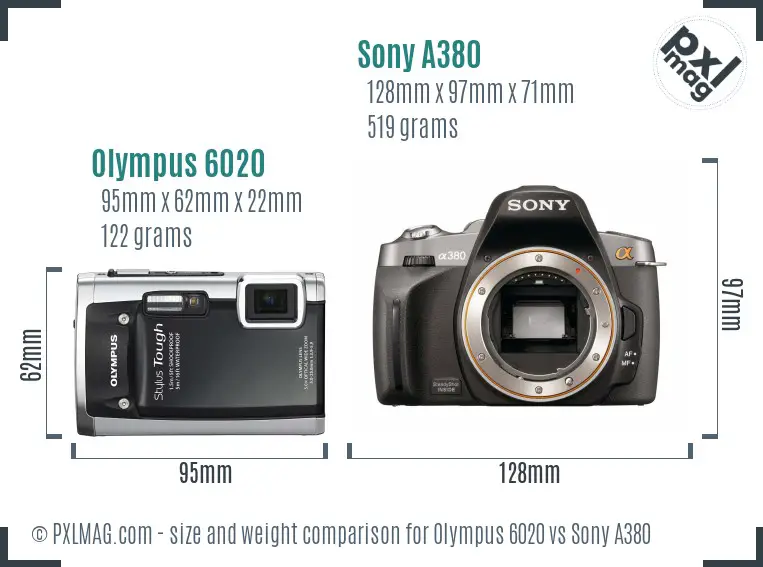 Olympus 6020 vs Sony A380 size comparison