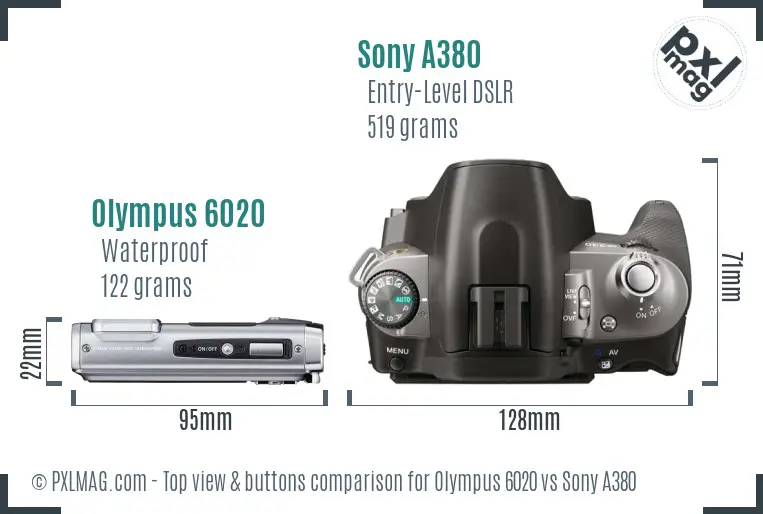 Olympus 6020 vs Sony A380 top view buttons comparison