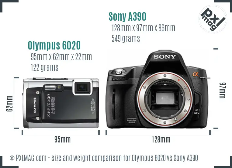 Olympus 6020 vs Sony A390 size comparison