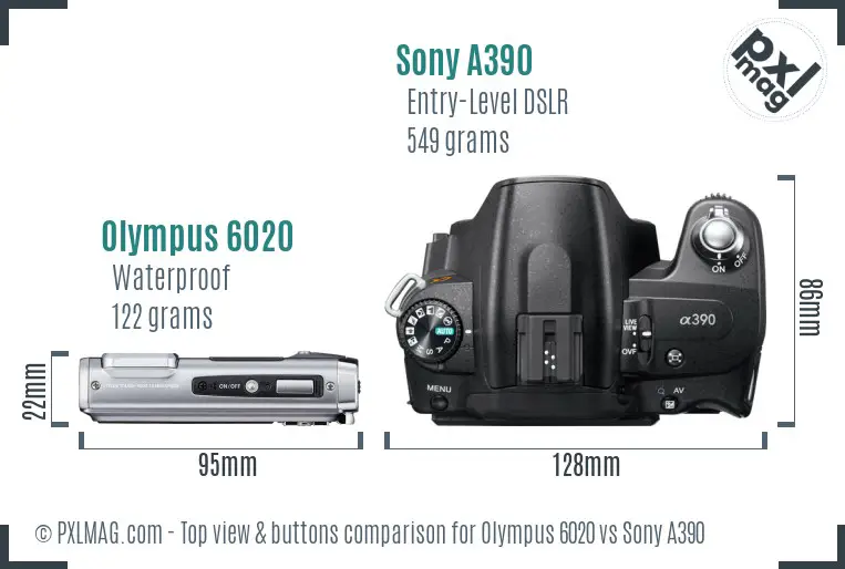 Olympus 6020 vs Sony A390 top view buttons comparison