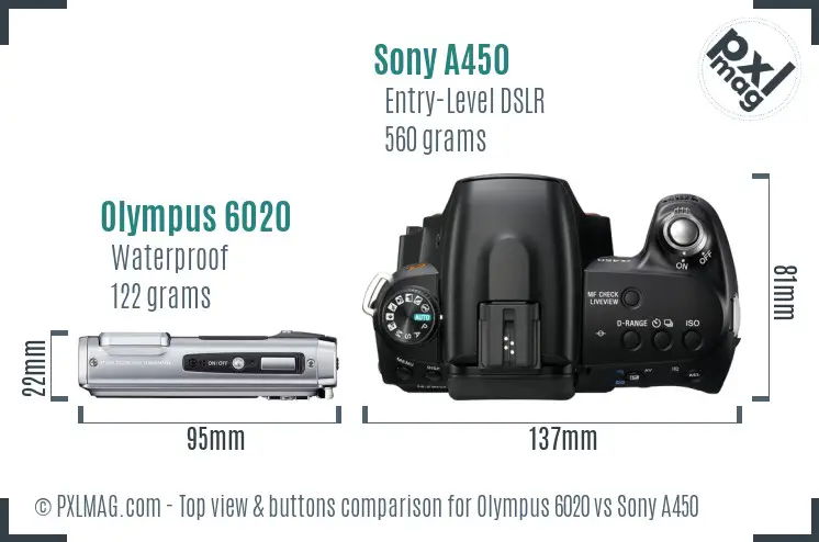 Olympus 6020 vs Sony A450 top view buttons comparison