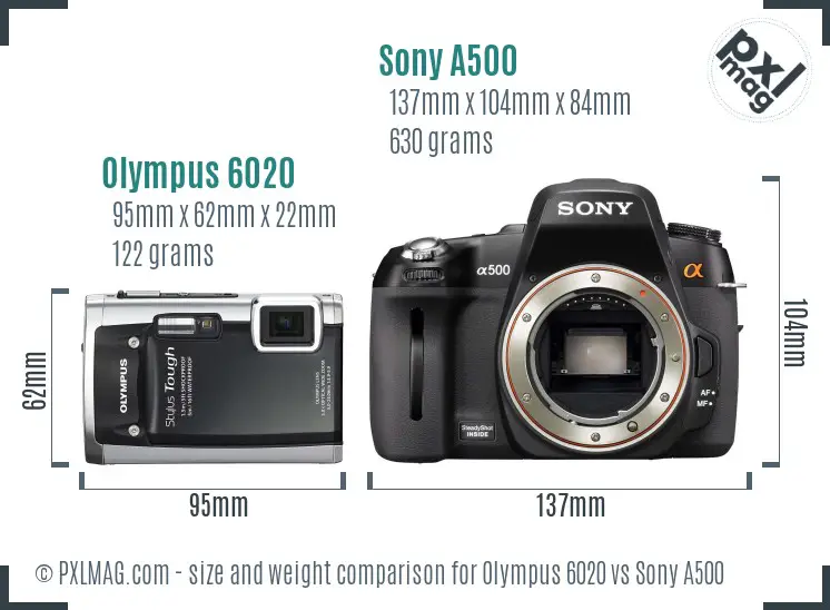 Olympus 6020 vs Sony A500 size comparison