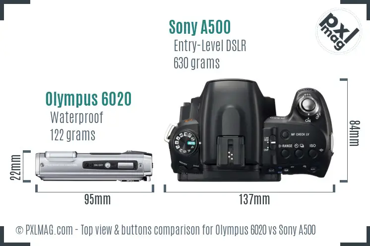 Olympus 6020 vs Sony A500 top view buttons comparison