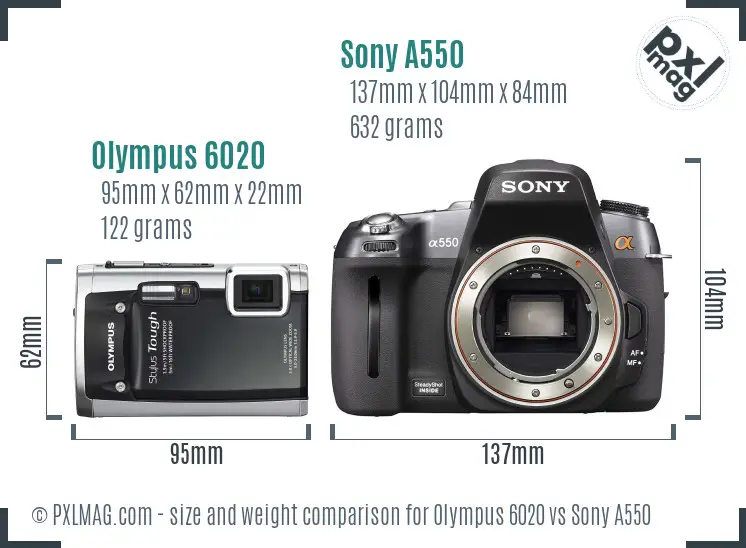 Olympus 6020 vs Sony A550 size comparison