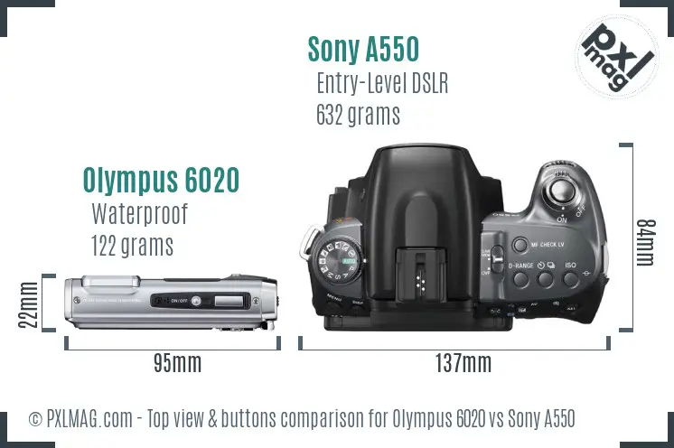 Olympus 6020 vs Sony A550 top view buttons comparison