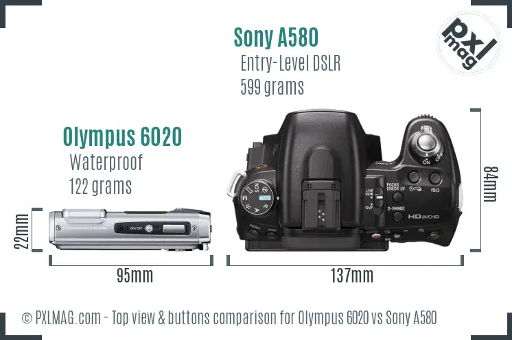 Olympus 6020 vs Sony A580 top view buttons comparison