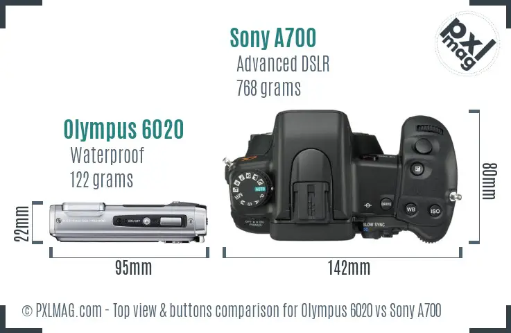 Olympus 6020 vs Sony A700 top view buttons comparison