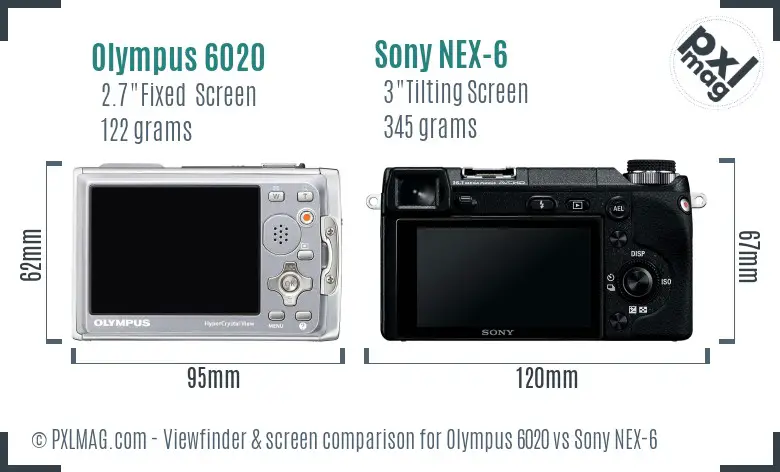 Olympus 6020 vs Sony NEX-6 Screen and Viewfinder comparison