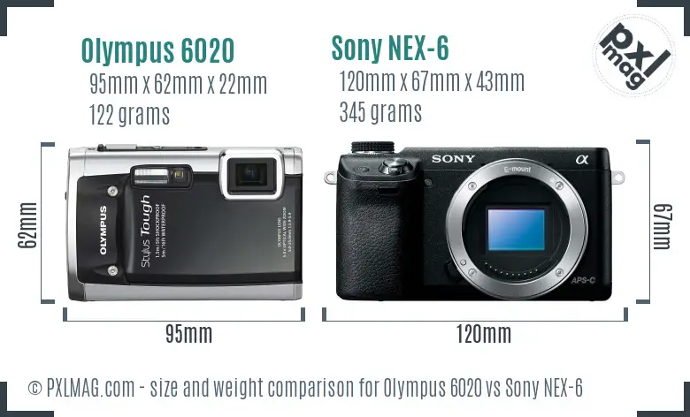 Olympus 6020 vs Sony NEX-6 size comparison