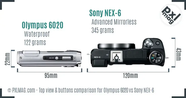 Olympus 6020 vs Sony NEX-6 top view buttons comparison