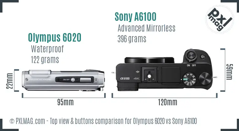 Olympus 6020 vs Sony A6100 top view buttons comparison
