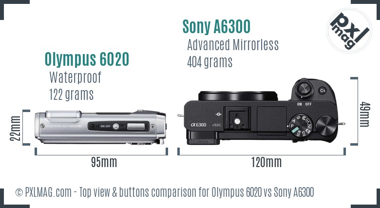 Olympus 6020 vs Sony A6300 top view buttons comparison