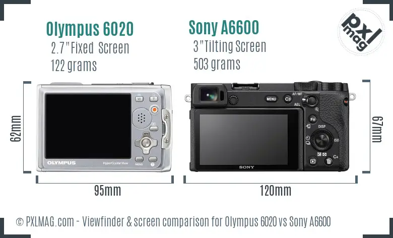 Olympus 6020 vs Sony A6600 Screen and Viewfinder comparison