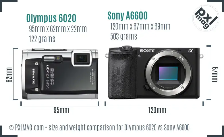 Olympus 6020 vs Sony A6600 size comparison