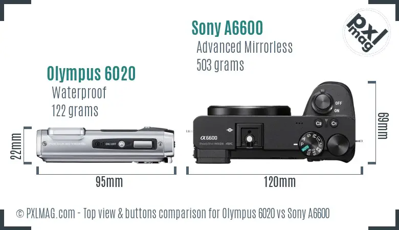 Olympus 6020 vs Sony A6600 top view buttons comparison