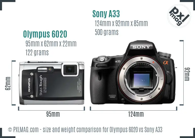 Olympus 6020 vs Sony A33 size comparison