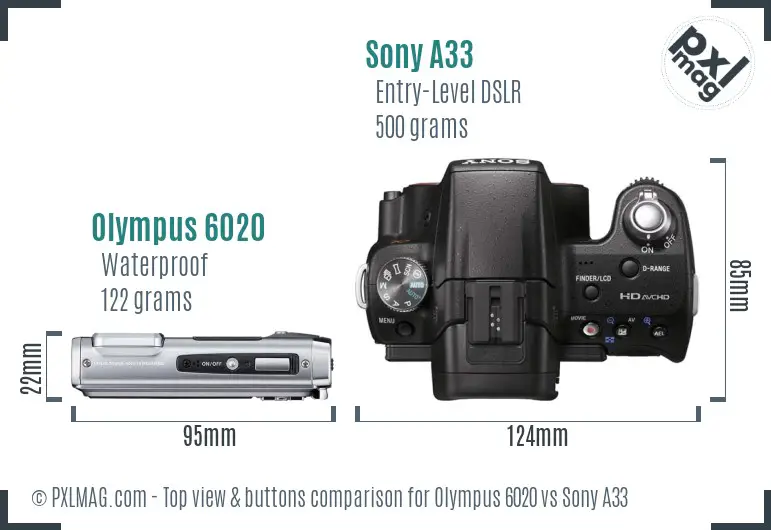 Olympus 6020 vs Sony A33 top view buttons comparison
