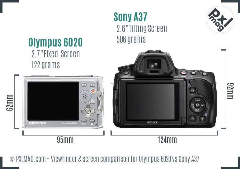 Olympus 6020 vs Sony A37 Screen and Viewfinder comparison