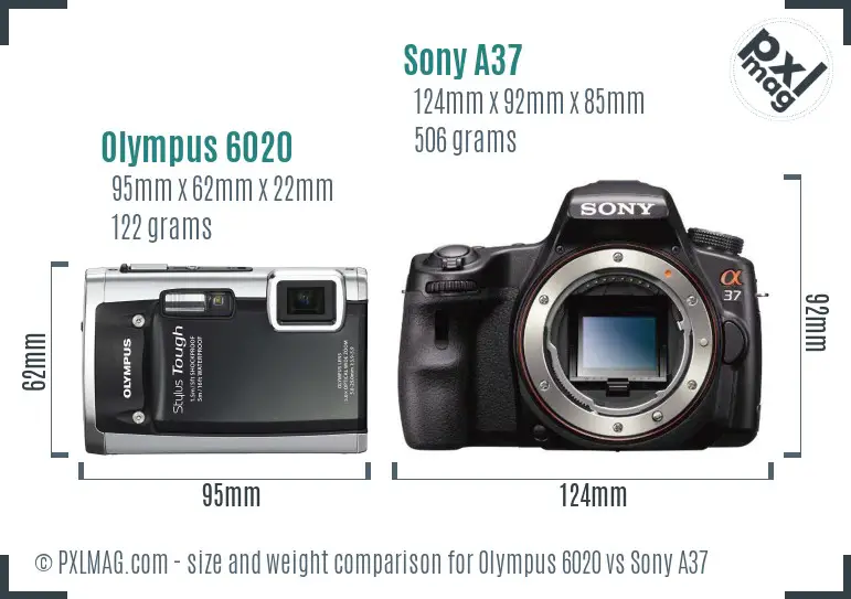 Olympus 6020 vs Sony A37 size comparison