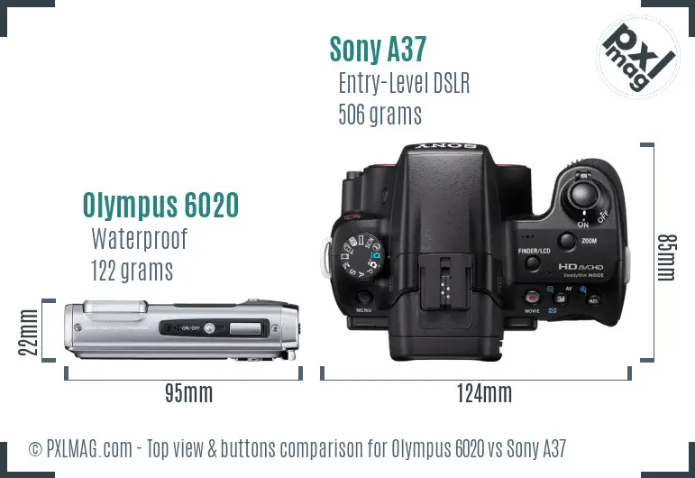 Olympus 6020 vs Sony A37 top view buttons comparison