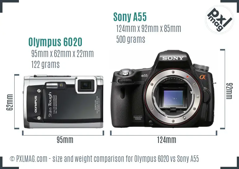 Olympus 6020 vs Sony A55 size comparison