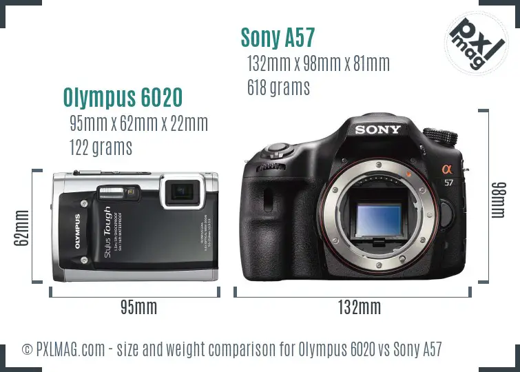 Olympus 6020 vs Sony A57 size comparison