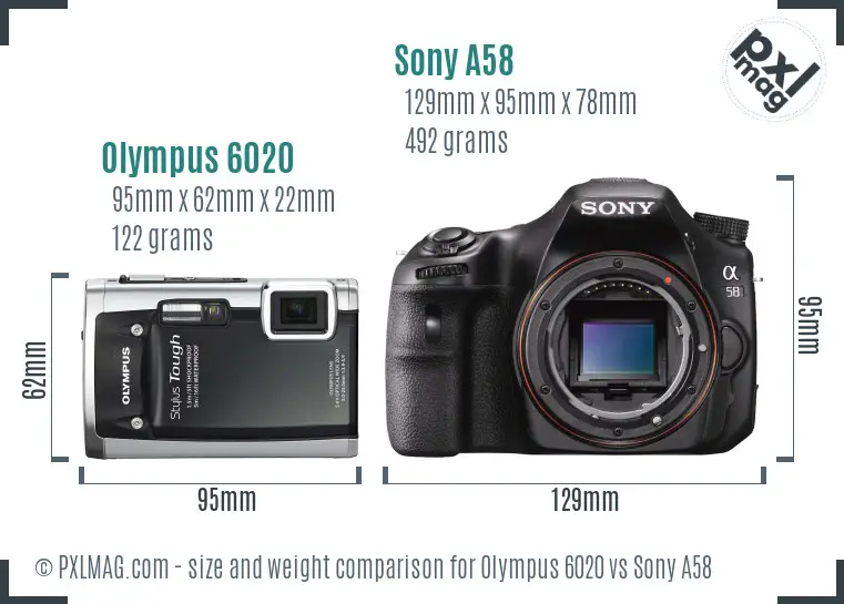 Olympus 6020 vs Sony A58 size comparison