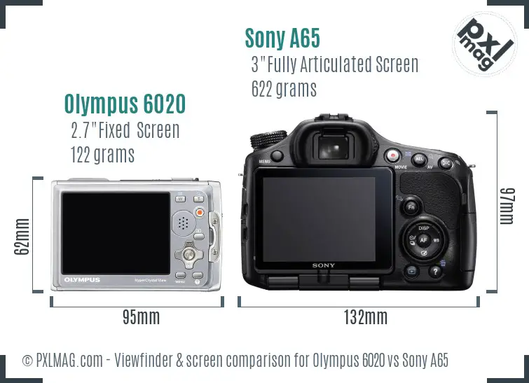 Olympus 6020 vs Sony A65 Screen and Viewfinder comparison