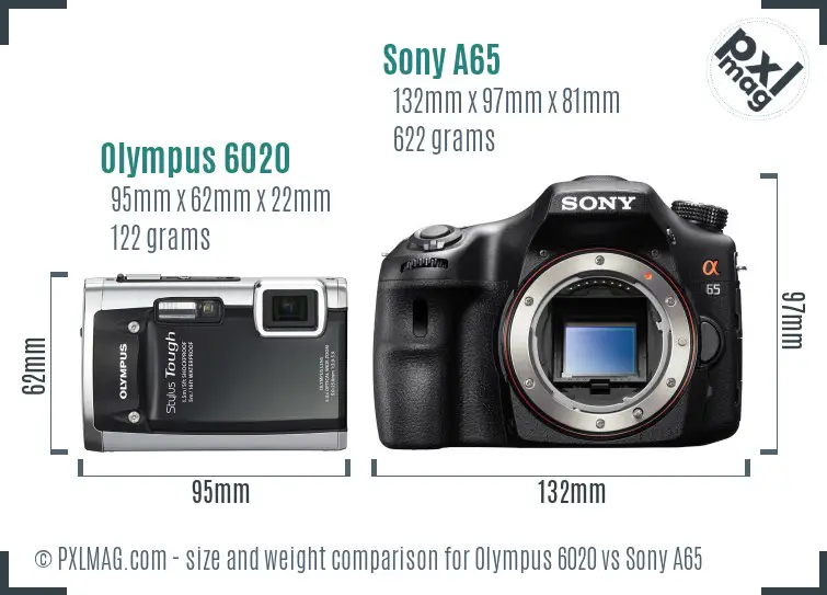 Olympus 6020 vs Sony A65 size comparison