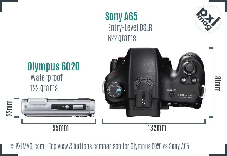 Olympus 6020 vs Sony A65 top view buttons comparison