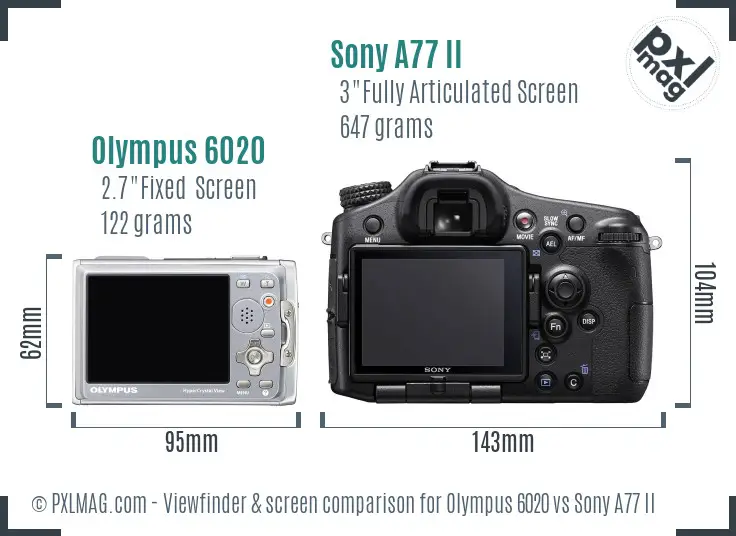 Olympus 6020 vs Sony A77 II Screen and Viewfinder comparison