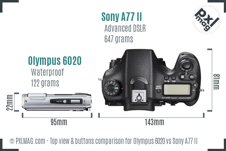 Olympus 6020 vs Sony A77 II top view buttons comparison