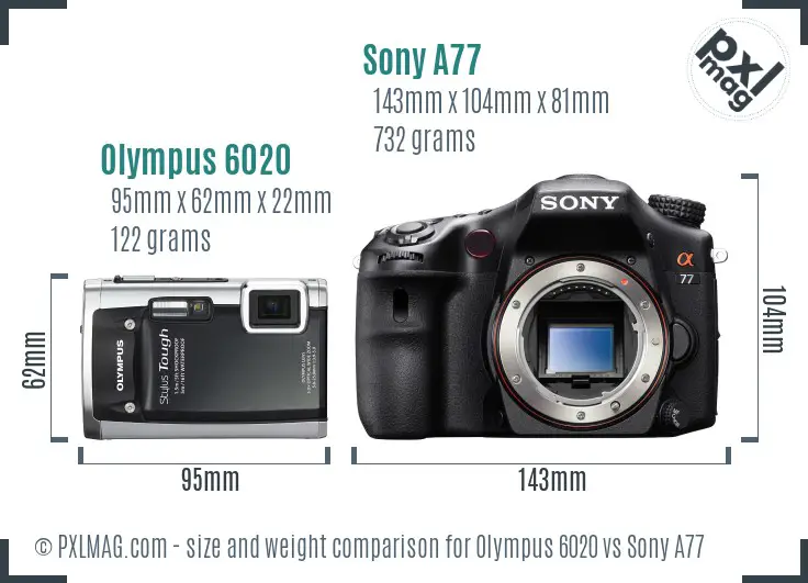 Olympus 6020 vs Sony A77 size comparison