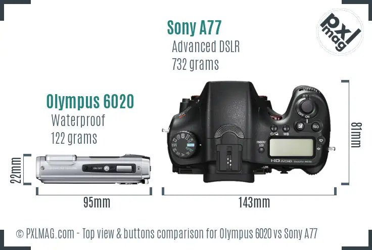 Olympus 6020 vs Sony A77 top view buttons comparison